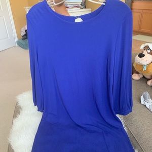 Rosie Pope Hampton Tunic Dress (Maternity)